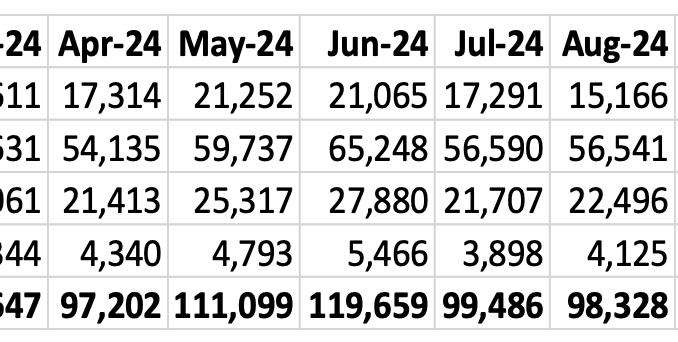 Sales by segment