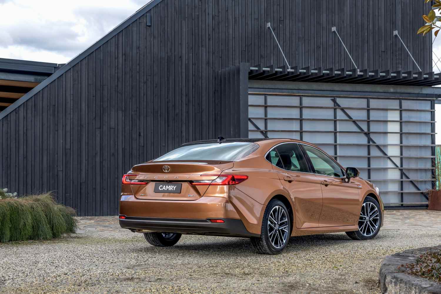 2025 Toyota Camry Ascent Sport rear