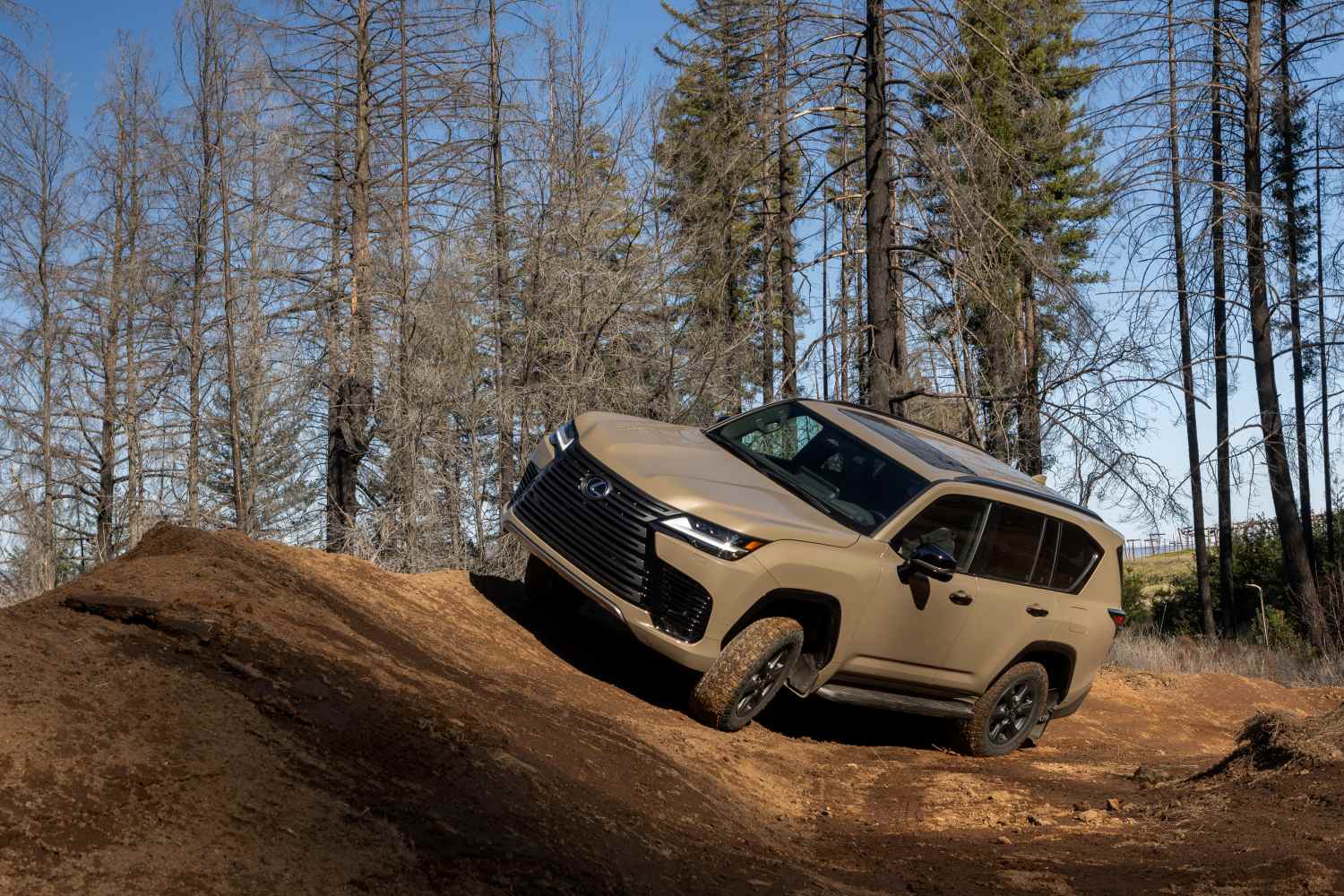  LX Overtrail 1