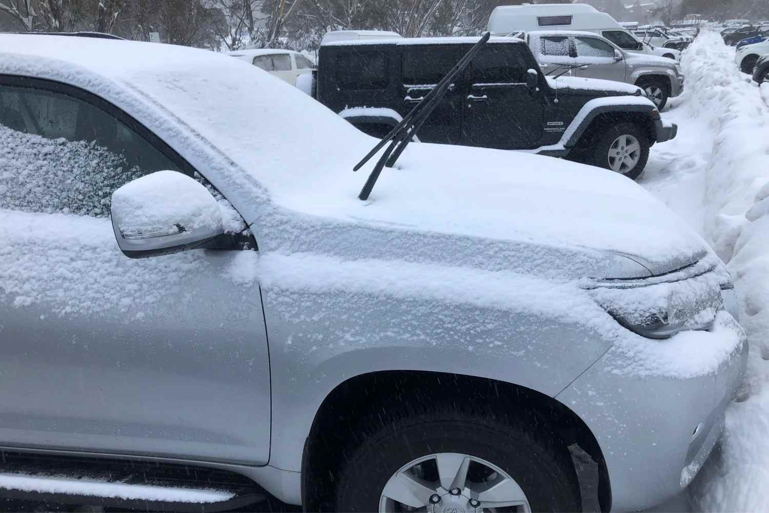 Prado covered in snow