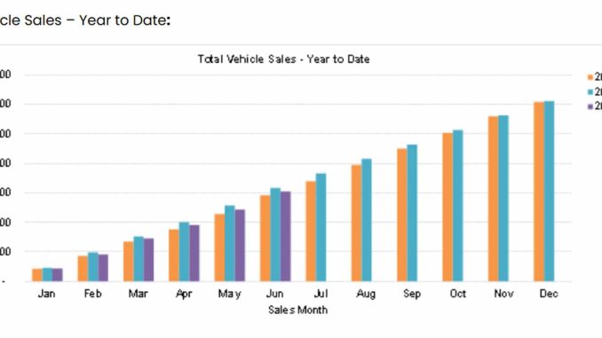 New car sales YTD June 2025