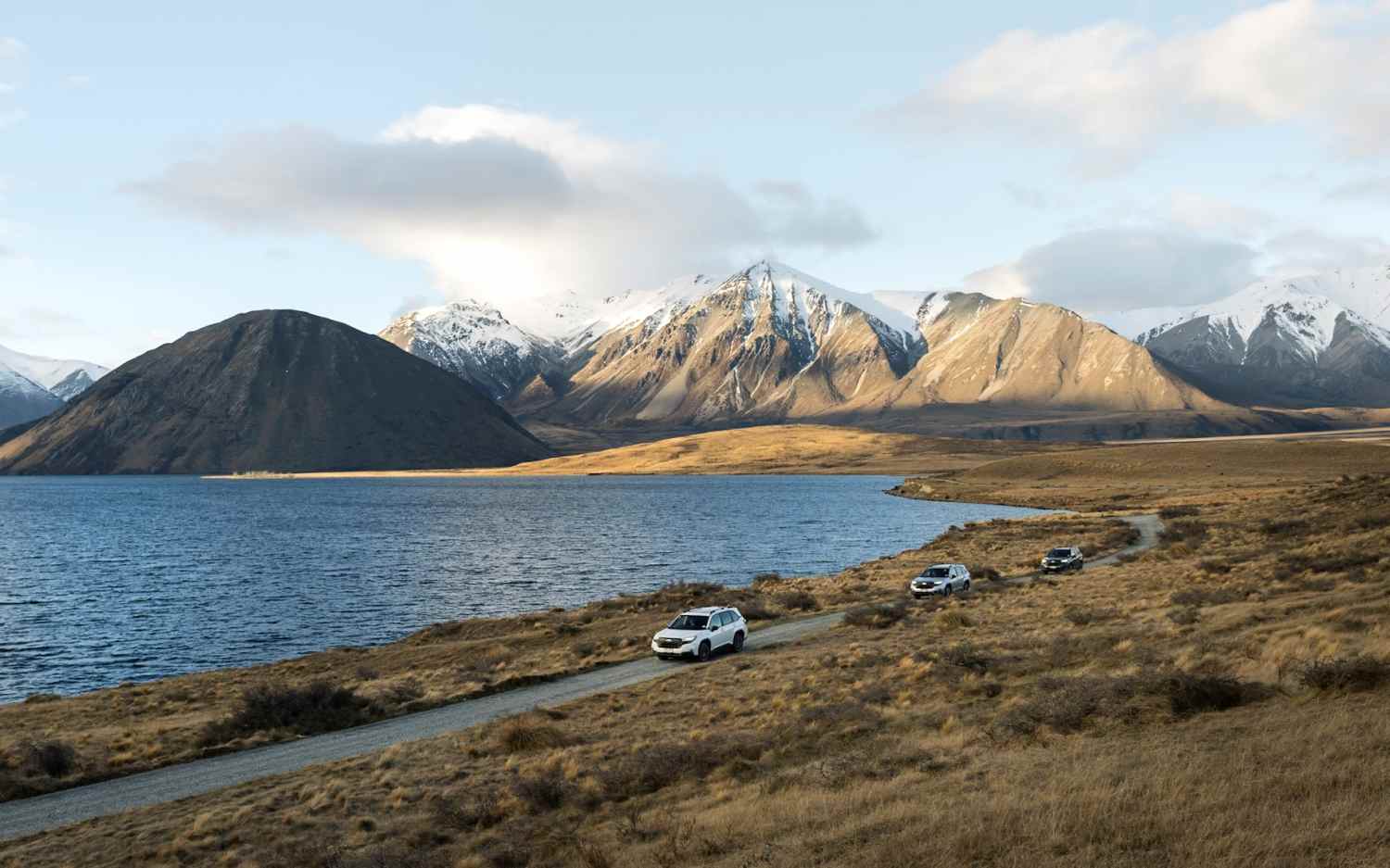 Forester Group_1