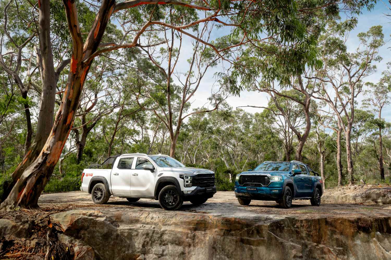 Foton-Tunland-Range-2025-4