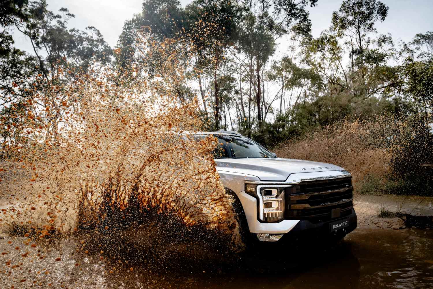 Foton-Tunland-V7-2025-1