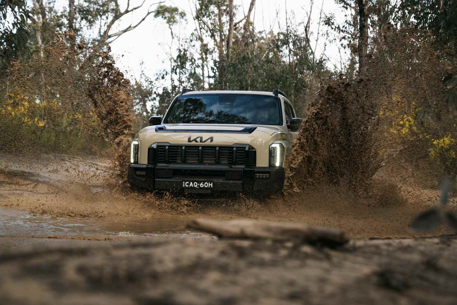 KIA - TASMAN_TAN_off road 2