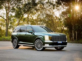 2025 PALISADE Calligraphy 02