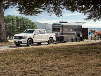 2025 Ford F-150 Platinum (14)