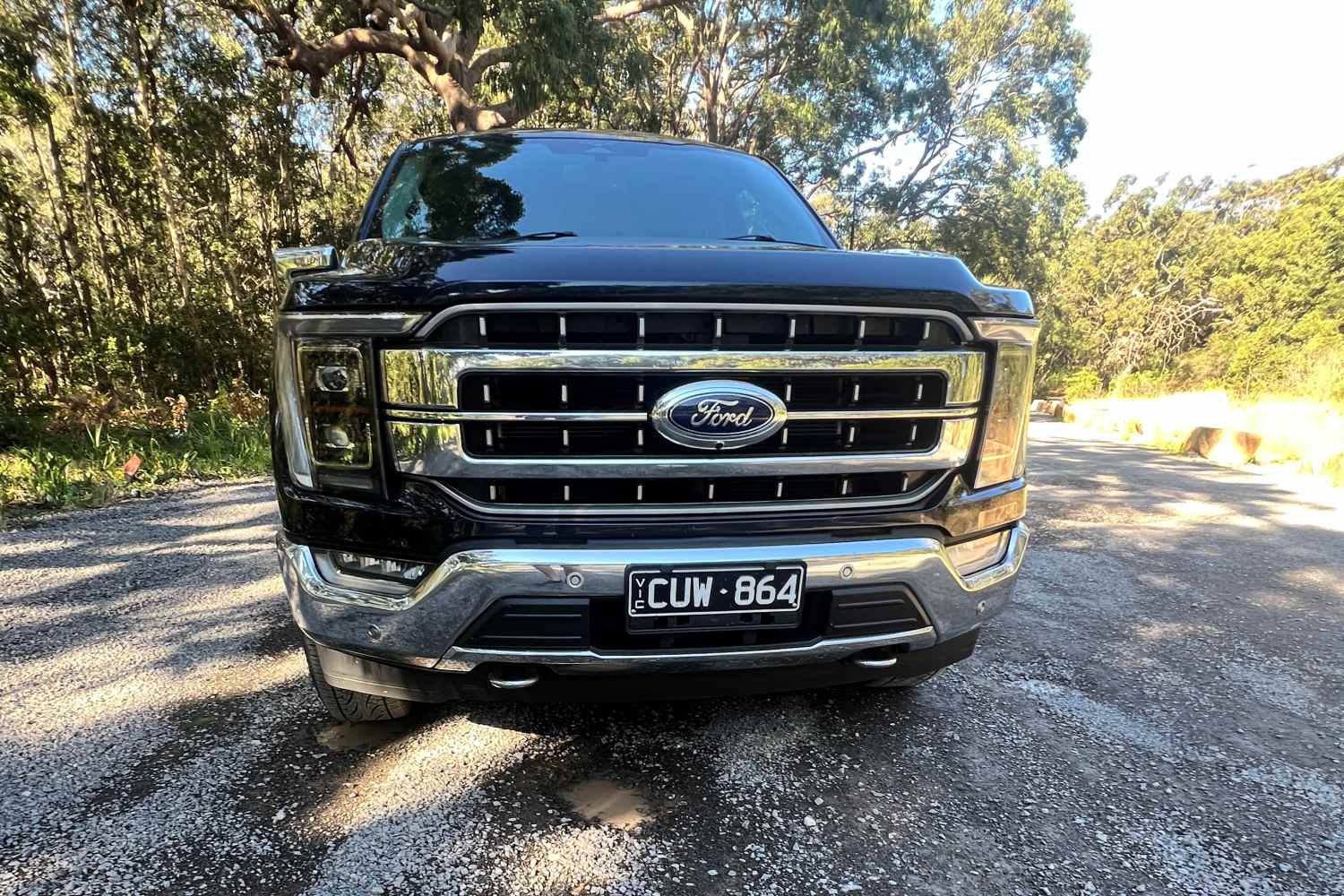 Ford F-150 Lariat front grill 2