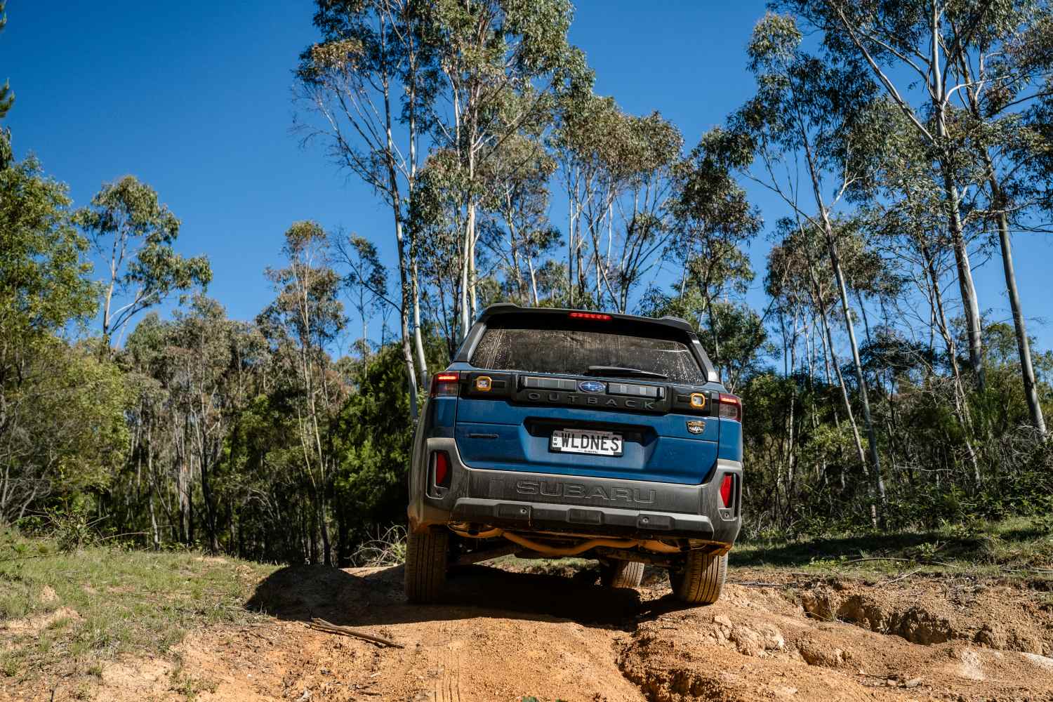 2026 Subaru_Outback Wilderness_MY26-23