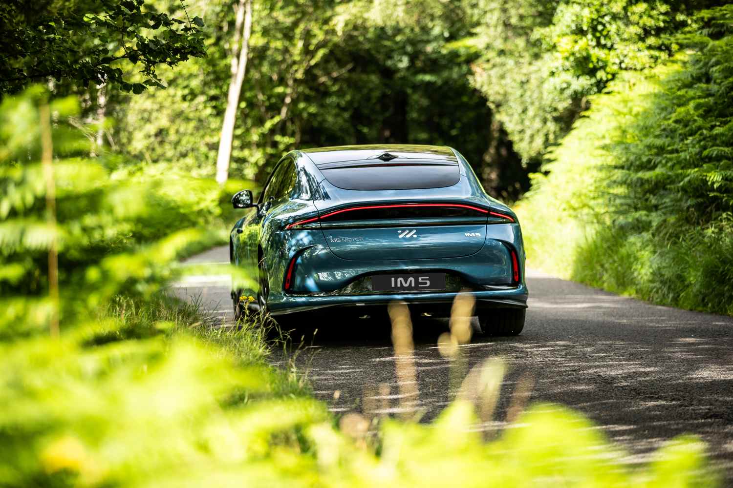 IM 5 rear 1
