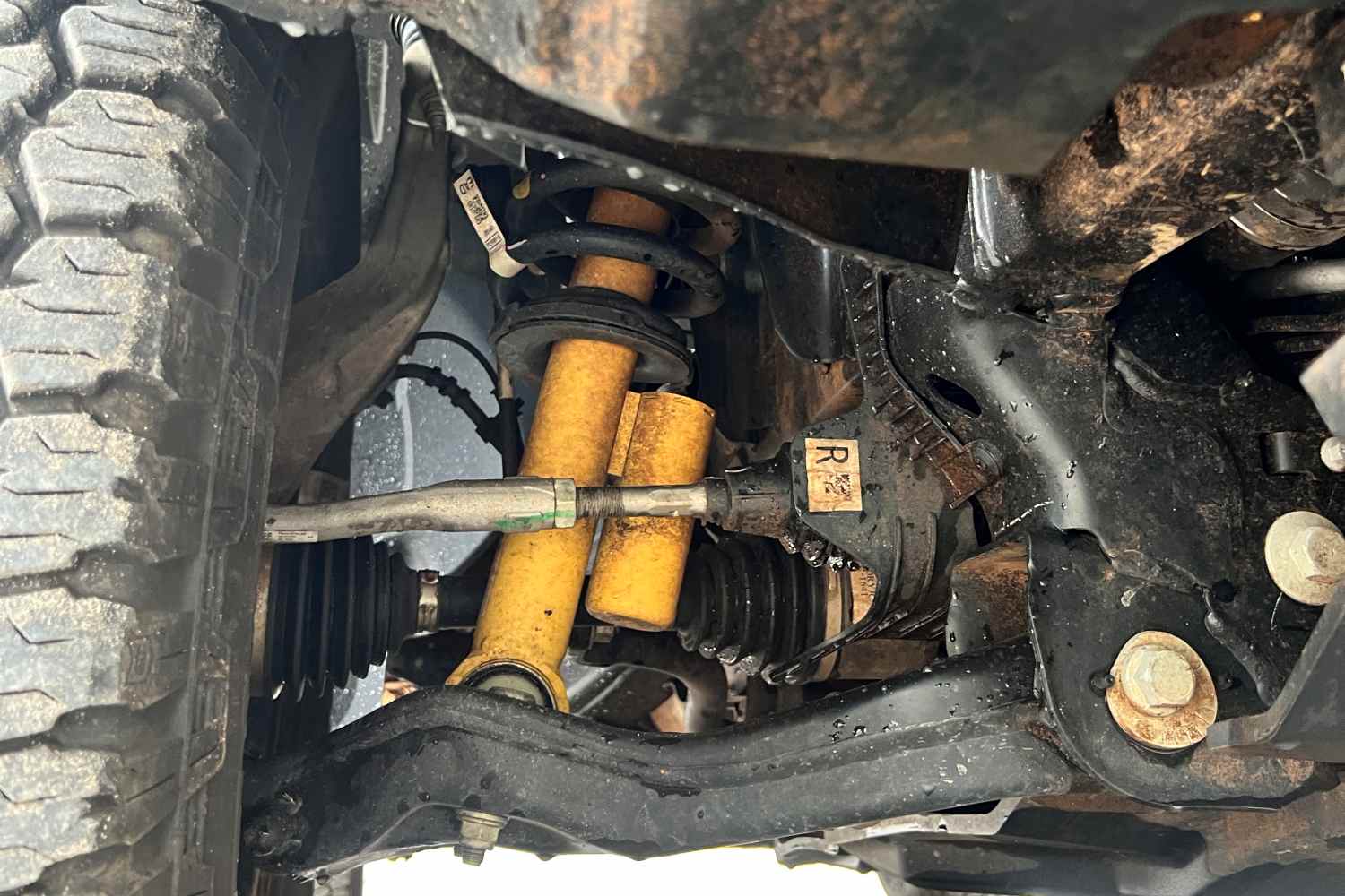 Ford Everest Tremor suspension upgrade 1