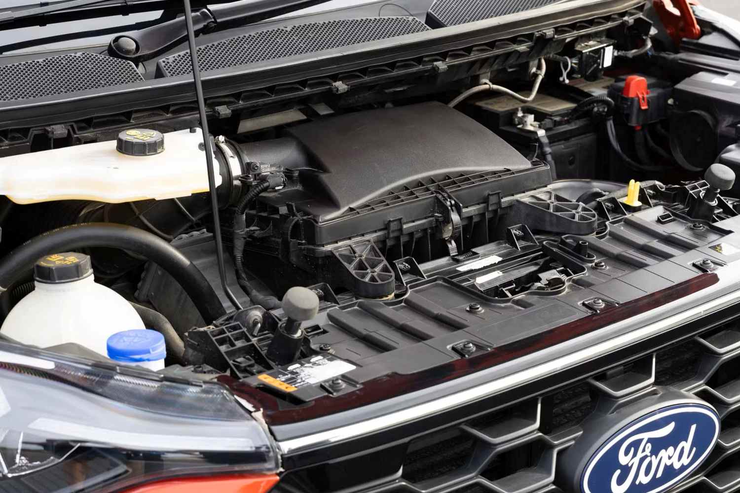 Ford Tourneo Active engine 1